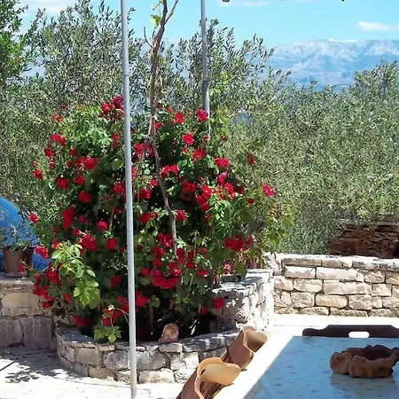 Vacation House Arriva 2+3 Vikendica Mirca (Brac)